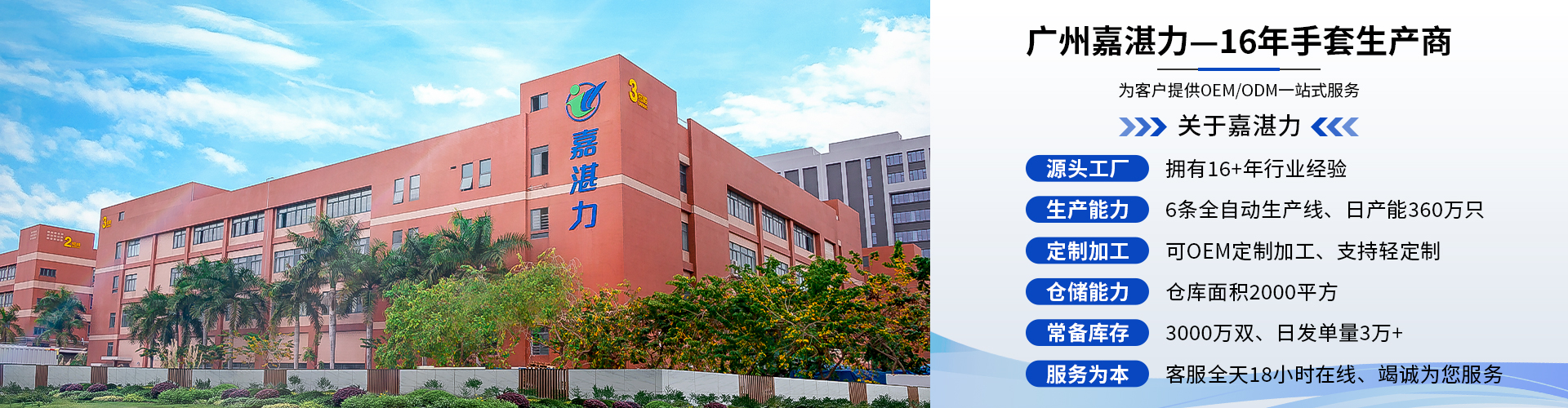 pvc防靜電凈化手套 pvc防靜電凈化手套